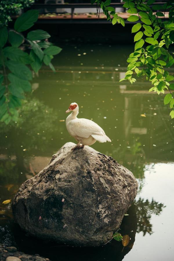 Chompor Lanna Hotel Chiang Mai Eksteriør bilde