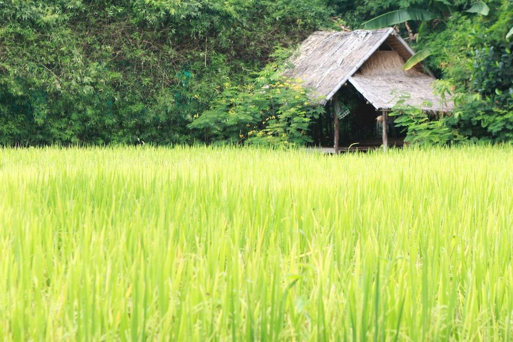 Chompor Lanna Hotel Chiang Mai Eksteriør bilde